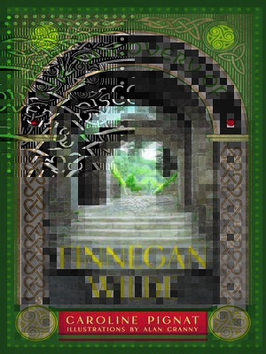 cover image of The Discovery of Finnegan Wilde